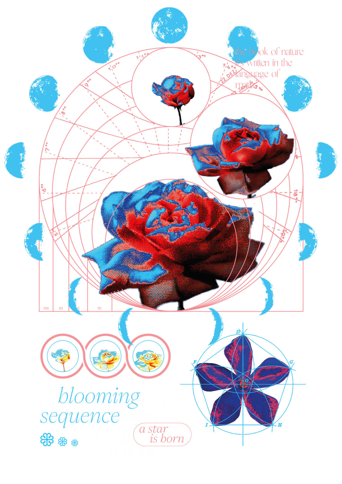 Blooming Sequence graphic tee by olioquore, back print