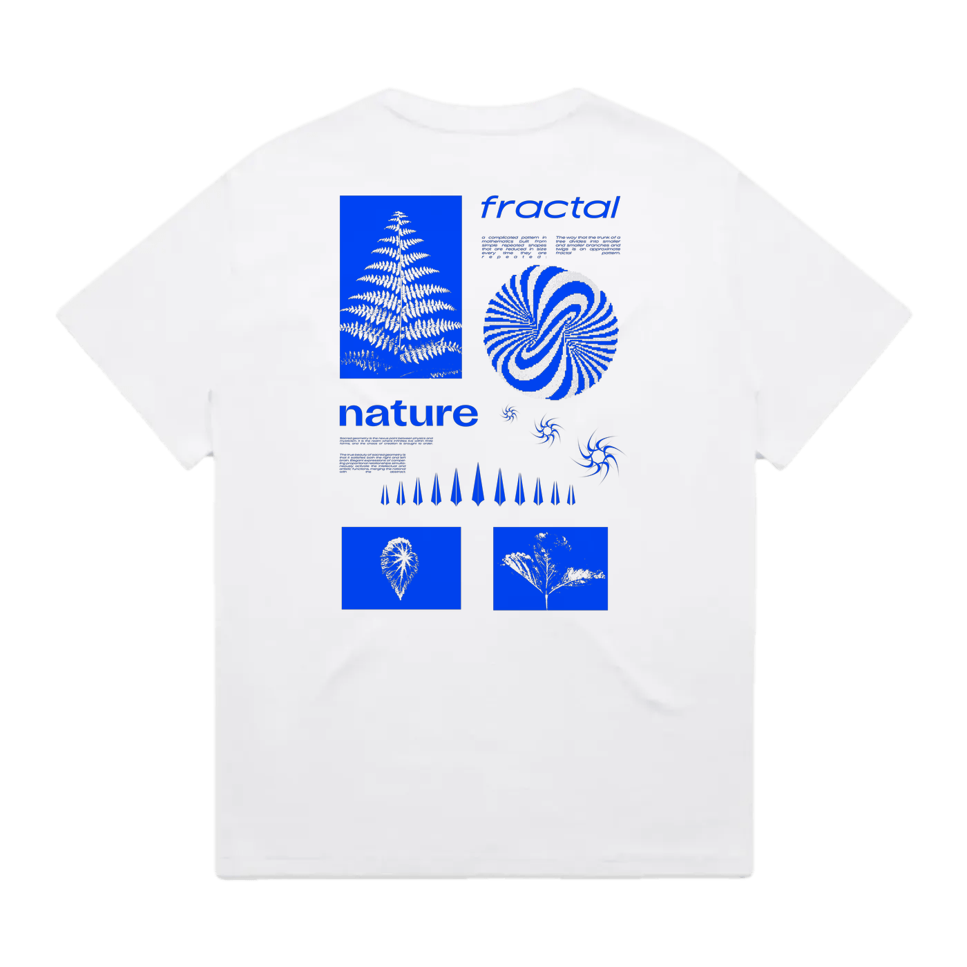 fractal